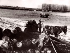 Прием леса на р. Белая для строительства Комбината № 18. 1947 г.