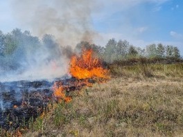 Спасаем леса от пожаров